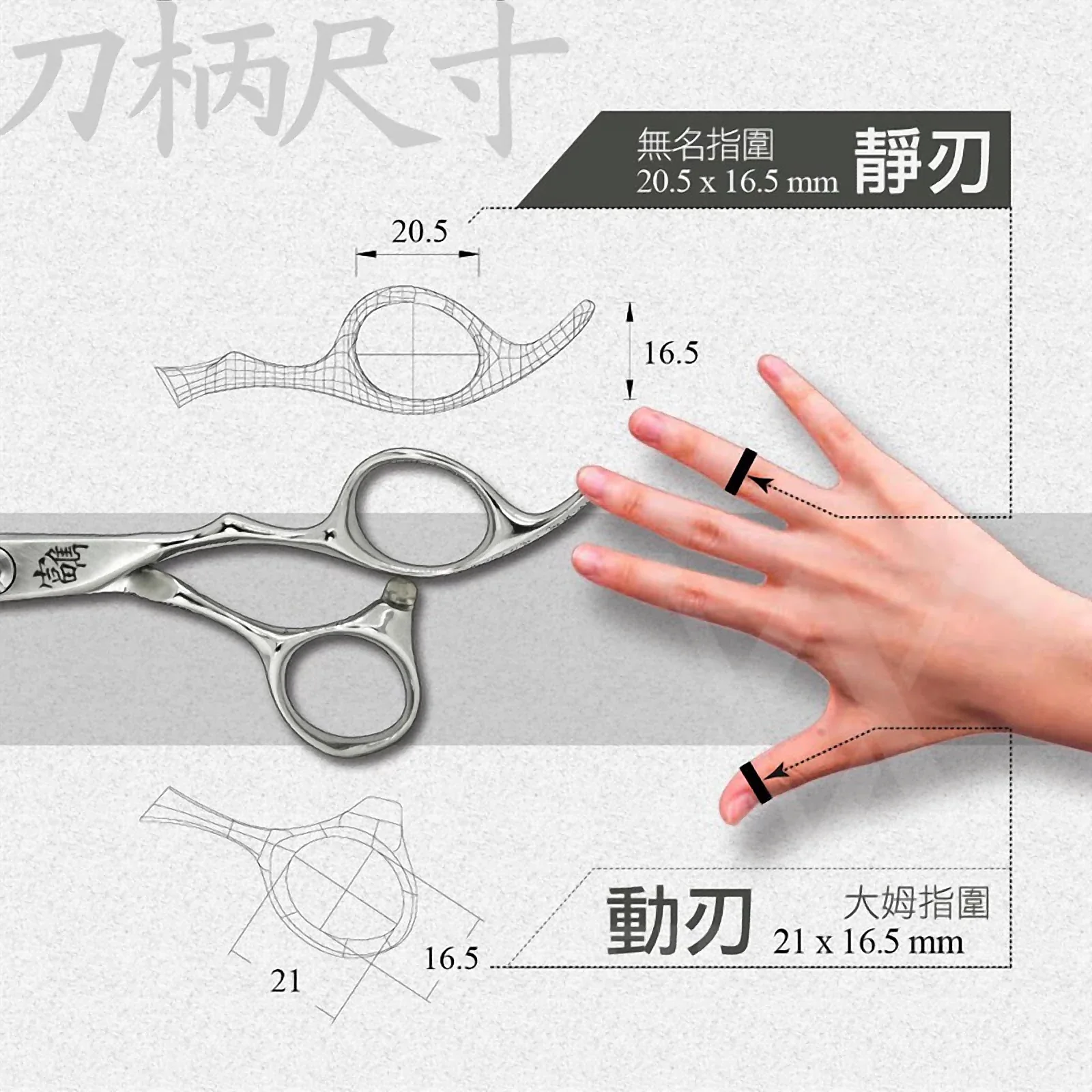 CW-MS60-SD 平剪與細節剪：商品實拍照片，呈現此款剪刀的刀身、握柄、螺絲或細節角度。